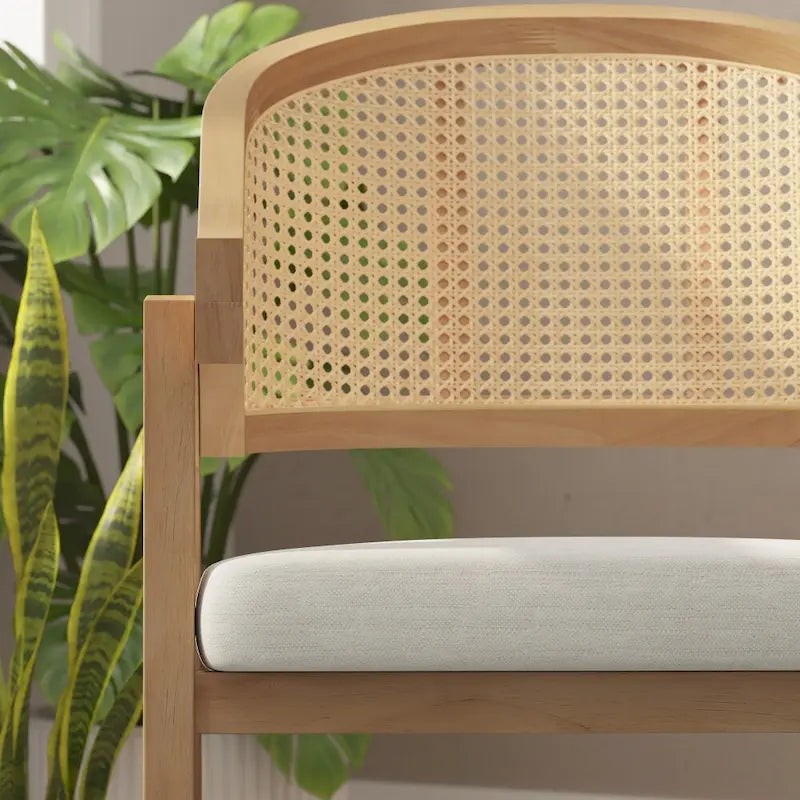 Cane Rattan Barrel Back Dining Chair with Cushioned Seat & Armrests